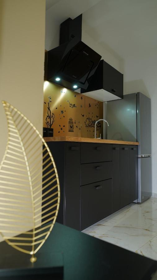 Diamond Apartment Piran Kültér fotó